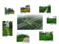 2008奧運精品工程之北京奧林匹克森林公園生態廊道