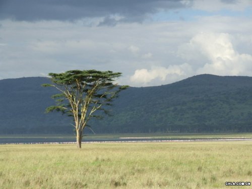 Nakuruo^