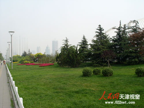 天津博物館周邊綠化
