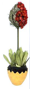 4  ڻȵĻϲٺϻ١