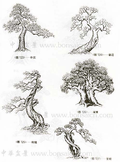 辰