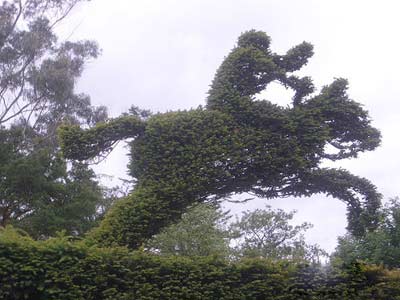 國外瘋狂的園林藝術