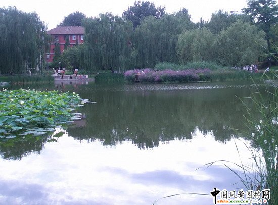 2008|֮˶@칤(MD)