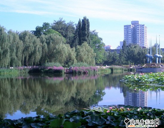 2008|֮˶@칤(MD)