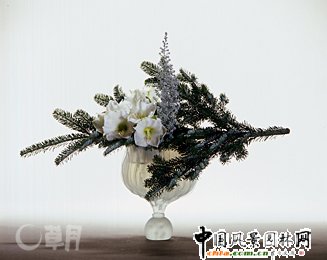 ڲ廨Ʒp(MD)