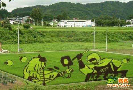 日本：農田上的藝術(組圖)