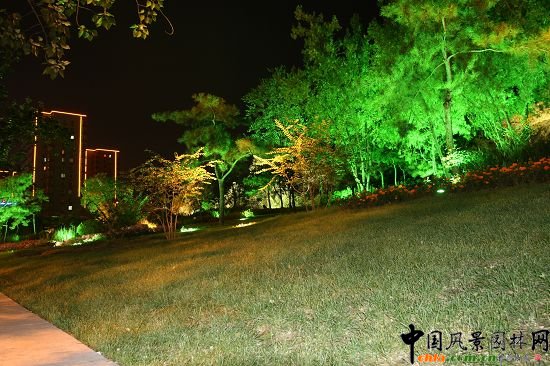 骨灰堂山體奧運期間夜景