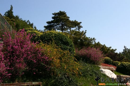 骨灰堂山體綠地花卉種植突出山野氣氛