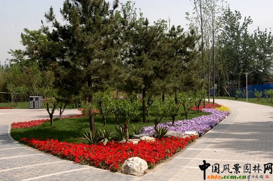 花團錦簇