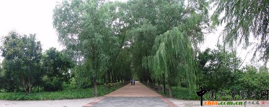 北入口南北林蔭路