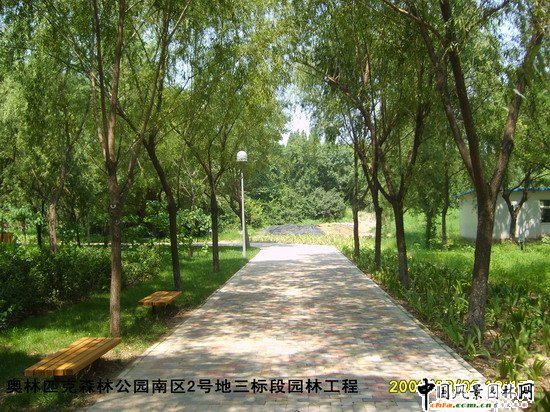 Wƥɭֹ@υ^(q)2̖(bio)Έ@־G