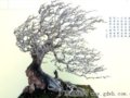2010V݇(gu)H辰Ո(qng)չ@(jing)Ʒ^[D]