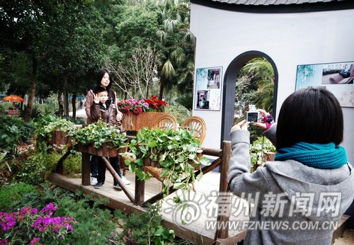 福州園林專家講解：綠化陽臺和屋頂適宜種哪些植物？
