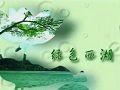 www.chla.comc.n