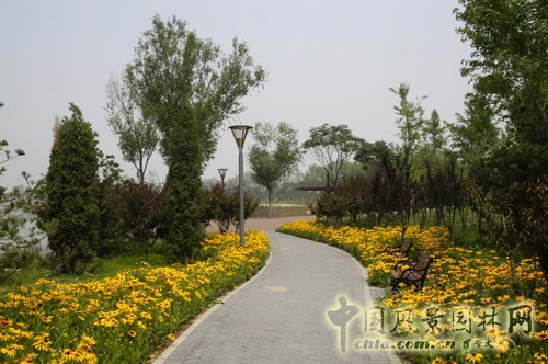 張新宇 大興新城濱河森林公園  規(guī)劃設(shè)計(jì) 設(shè)計(jì)師廣場 中國風(fēng)景園林網(wǎng)
