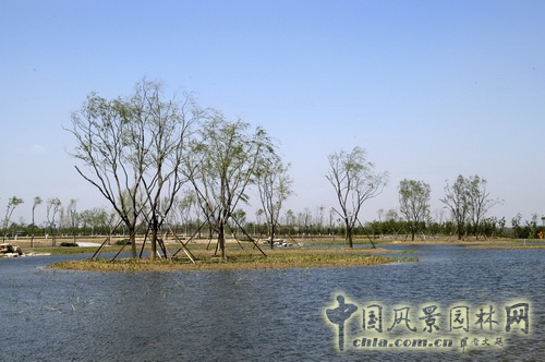 張新宇 大興新城濱河森林公園  規(guī)劃設計 設計師廣場 中國風景園林網