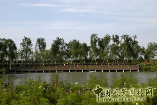 張新宇 大興新城濱河森林公園  規(guī)劃設計 設計師廣場 中國風景園林網