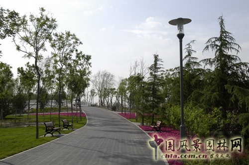 張新宇 大興新城濱河森林公園  規(guī)劃設計 設計師廣場 中國風景園林網