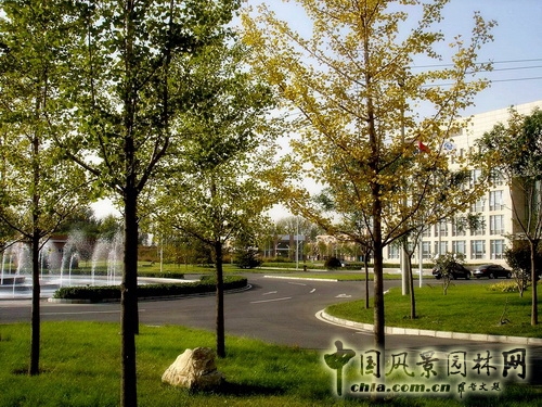 郭明 中國疾病預防控制中心 景觀設計  中外園林 中國風景園林網