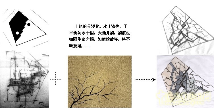 鏡園 張建林 雨水收集系統(tǒng) 園林植物 設(shè)計(jì) 園林 景觀