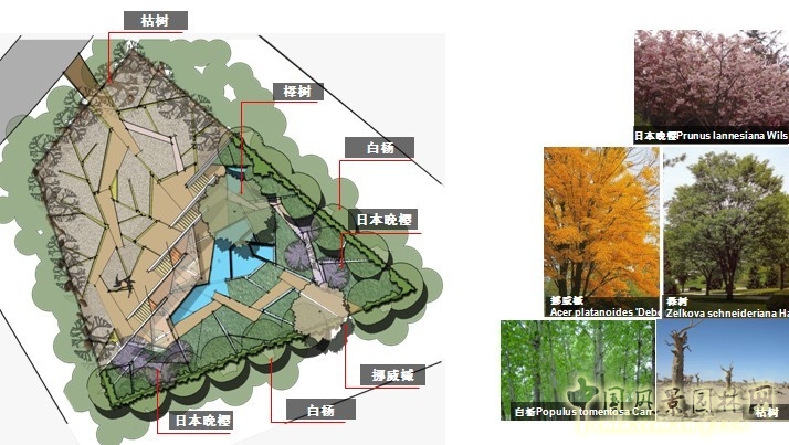 鏡園 張建林 雨水收集系統(tǒng) 園林植物 設(shè)計(jì) 園林 景觀