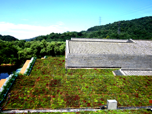 錢(qián)江新城 屋頂綠化群 中國(guó)風(fēng)景園林網(wǎng)