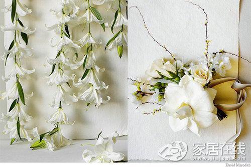 插花 家居 設計