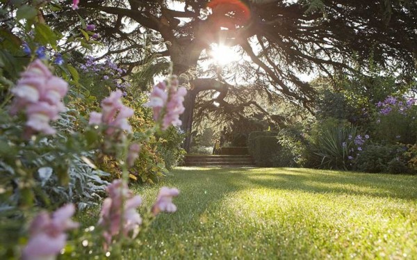 英國花園海德科特花園(英格蘭格洛斯特郡)