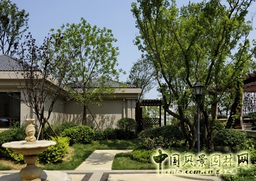 天開園林 魯能領(lǐng)秀城 景觀工程