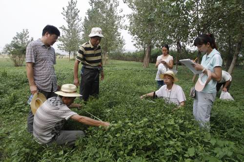 濕地管理 生物多樣性 三門峽 自然保護(hù)區(qū)