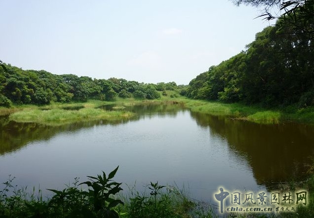臺北桃園埤圳濕地
