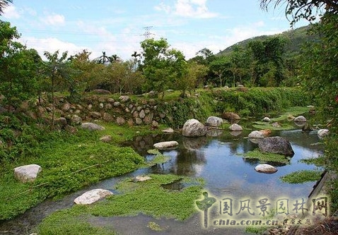 馬太鞍濕地