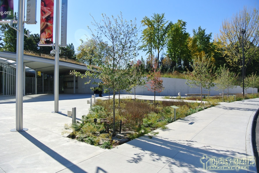 入口廣場花園
