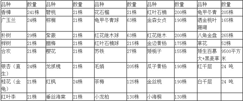 苗木數(shù)量