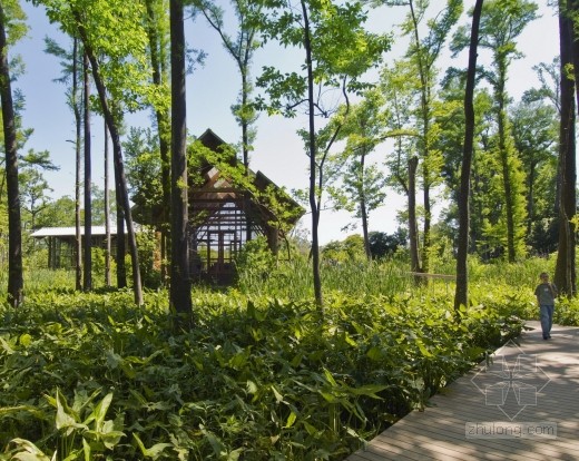 香格里拉植物園 景觀設計 植物園 可持續設計