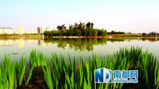 大明宮遺址 遺產(chǎn)保護(hù) 改造工程 城市規(guī)劃