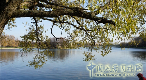 庫斯科沃