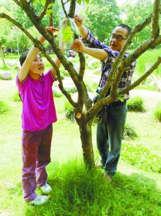涂先生父女在解放公園里給認養(yǎng)的樹木掛牌。
