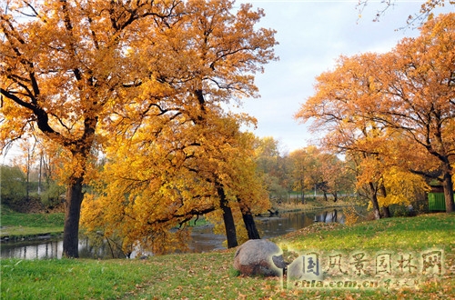 斯特列利納