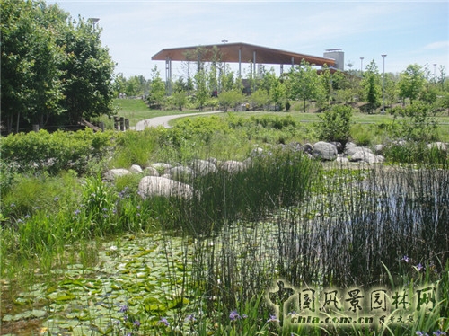 Corktown Park