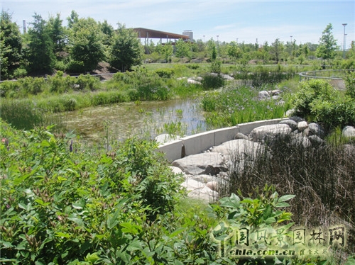 Corktown Park