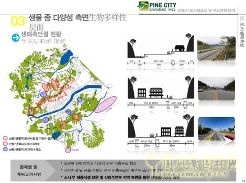 趙泰東：韓國江陵市城市林建設和管理計劃
