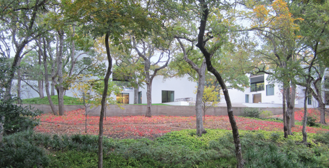 達(dá)拉斯莊園