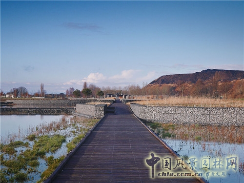 島嶼生態公園