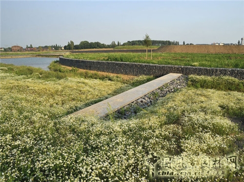 島嶼生態公園
