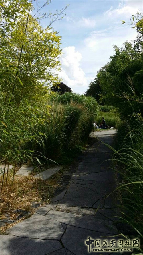 巨人花園