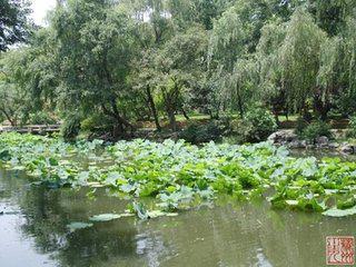 拙政園