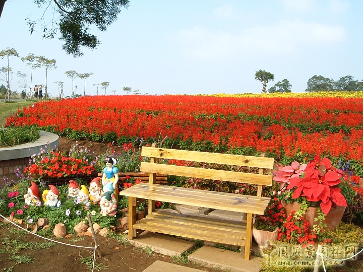 大溪花海農(nóng)場