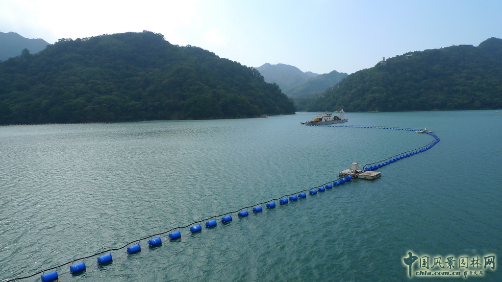 大溪花海農場