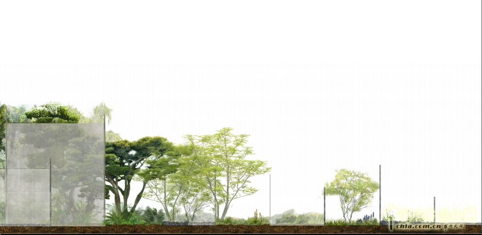 武漢園博會創(chuàng)意花園薄紗森林